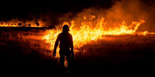 Wildfires in South Africa are set to increase