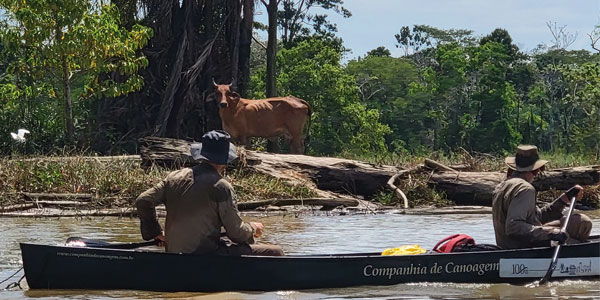 Wits accountants paddling the Amazon River | Curiosity 15: #Energy ? /curiosity/