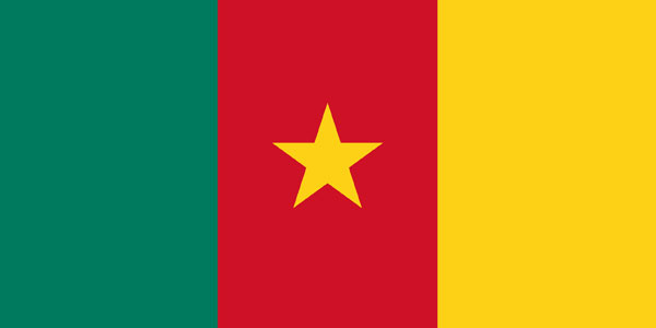 The flag of Cameroon