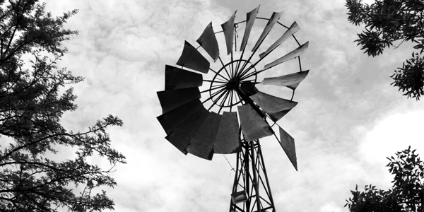 The windmill, iconic symbol of South Africa's Karoo. ?WitsUniversity