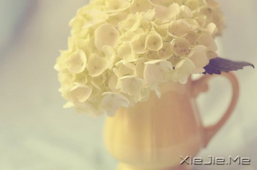 һ��һ�⣬������������������� (10)