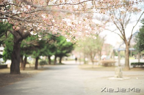 ������Ҳ������������� (1)