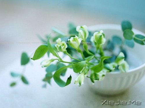 ������һ�ױ��������ĸ裬���Ƕ����Ǹ�������� (1)