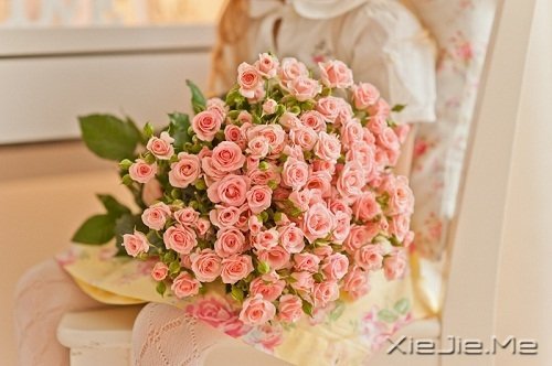 ĬȻ�మ���ž�ϲ�� (1)