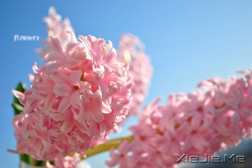 ����Ĺ¶�����һƬ�ڰ���������ֻ�ܿ����Լ� (4)