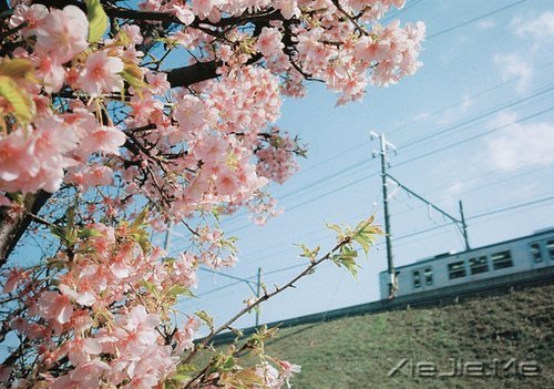 晚安心语:静守时光,以待流年 (5)