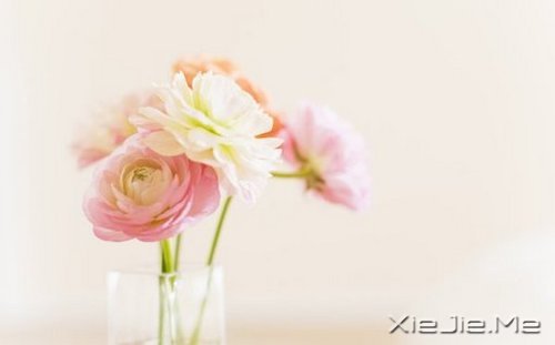 �簲������������ڱ��˵Ĺ���������Լ������� (1)
