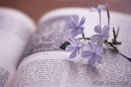 早安心语:不要让不安的情绪腐蚀了明媚的心 (4)