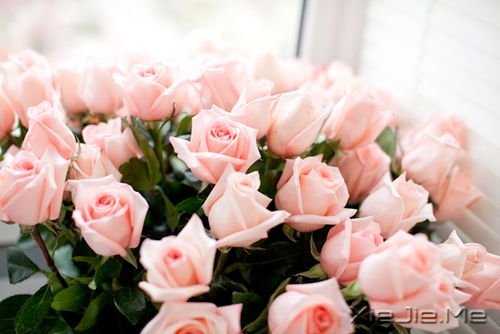 �����������ƽ������������ͬ��ζ�� (5)