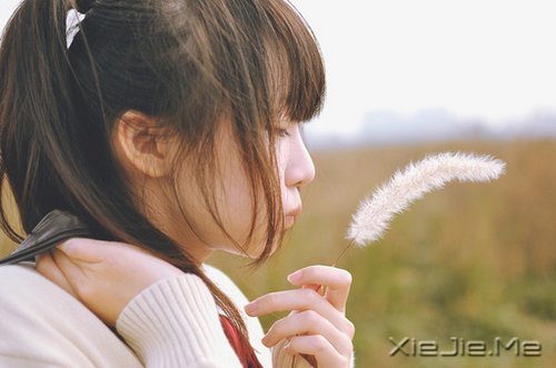 �������������δ��������ʵԶ���������� (10)
