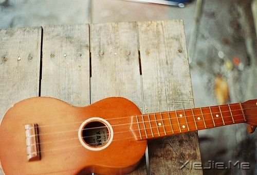����������ֵ��˲���û��ʹ�࣬���ǲ��ᱻʹ�������� (10)